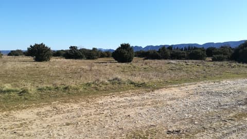 SAINT-RÉMY-DE-PROVENCE - À la rencontre des oiseaux de la Petite Crau