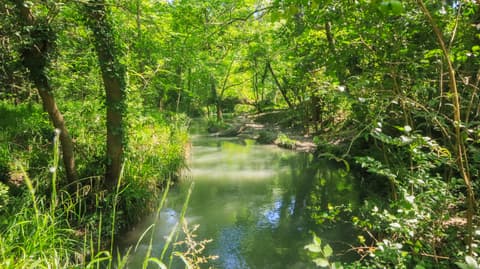 La Malautière