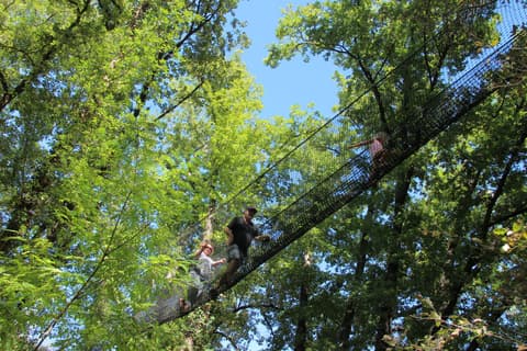 Le bois des lutins