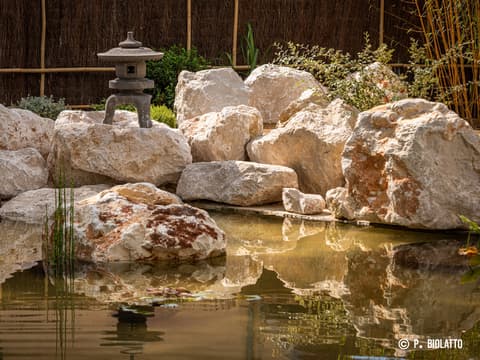 Le jardin japonais