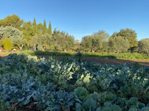 Le Jardin de Pichauris