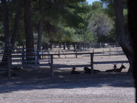 Grand Parc de Figuerolles - Paul Lombard