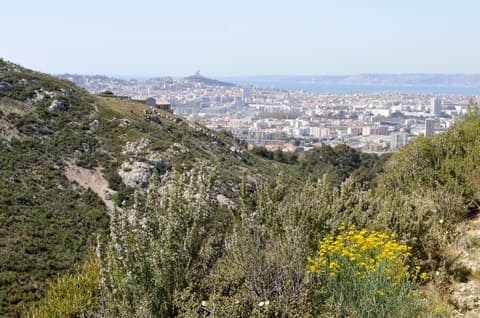 Parc des Bruyères