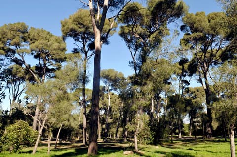Parc de la Redonne