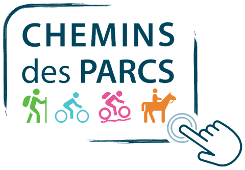 Port-Saint-Louis à vélo, la ville entourée d'eau