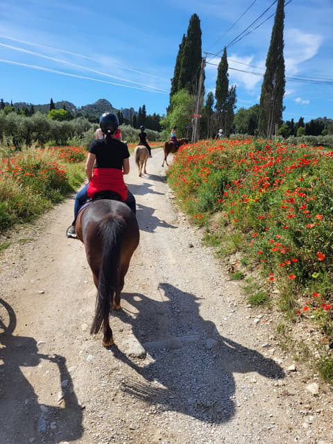 Chev'Alpilles