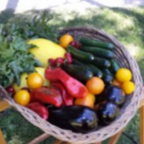 A la ferme