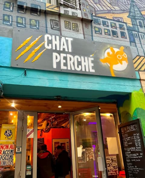 Chat perché