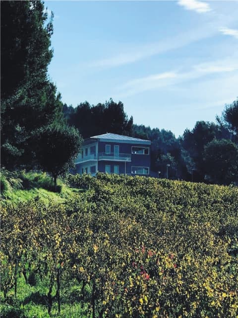 Cassis Coworking