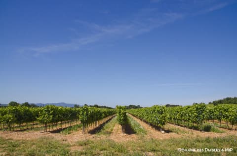 Domaine des Diables