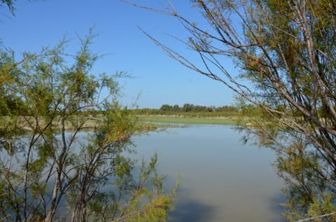 Balade au cœur des marais du Verdier