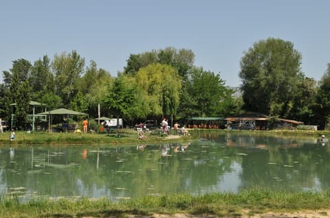 Etang de pêche à la truite