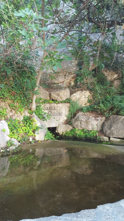 Source d'Adane