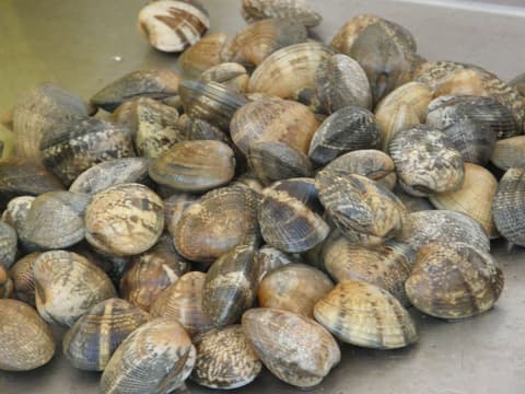 Marché aux poissons