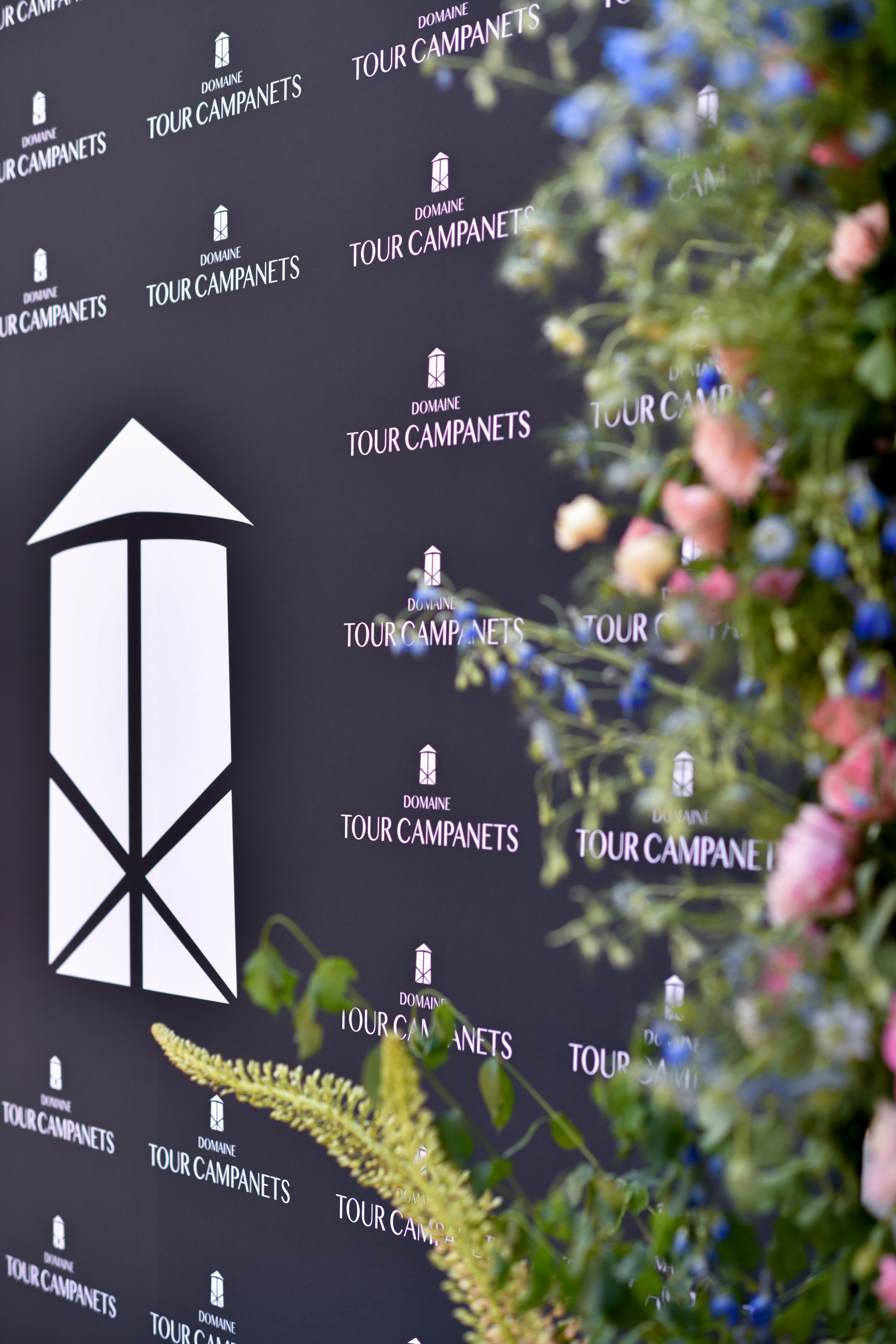 Domaine Tour Campanets