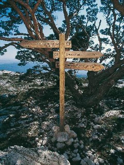 Massif Sainte Baume : Du pont des Encanaux au pic de Bertagne