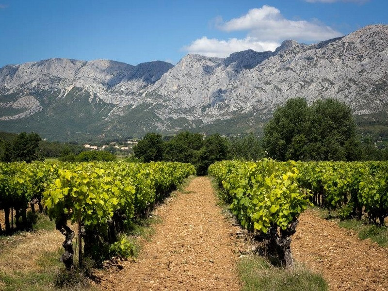 Domaine le Loup Bleu