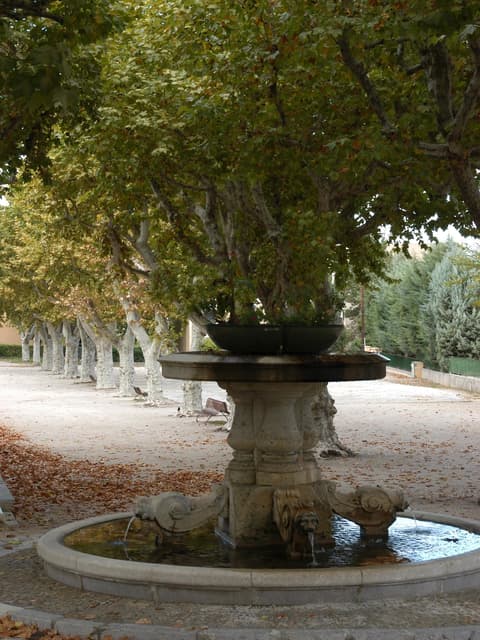 Cours des Héros