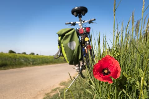 Autour de la Montagnette 2