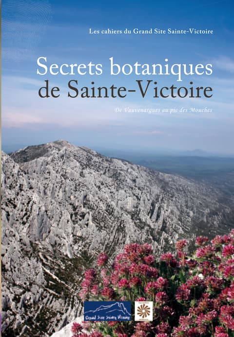 Sentier des Plaideurs : Découverte des secrets botaniques de Sainte-Victoire ave