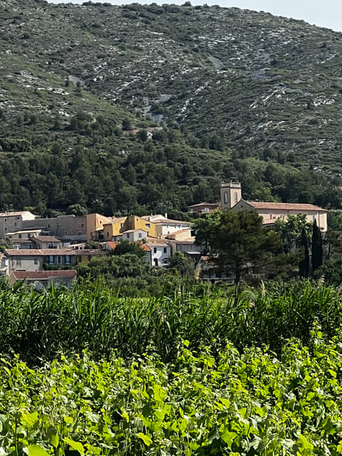 Randonnée au Domaine Capitaine Danjou