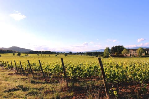 Sentier vigneron de Château Paradis