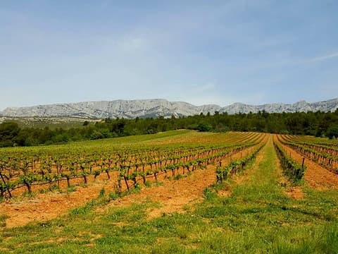 Cave de Rousset