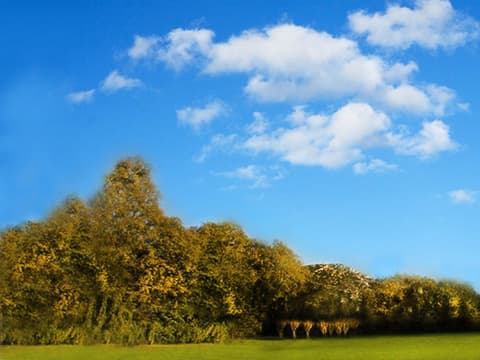 Parc des Micocouliers