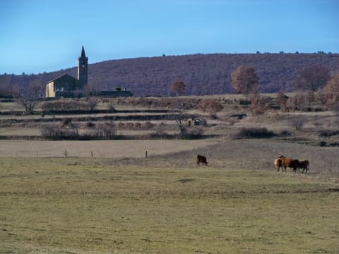 Bornes du Rocher d'Ongles