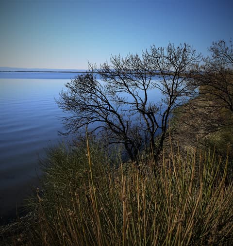 Marais de la Petite Camargue et des Palous