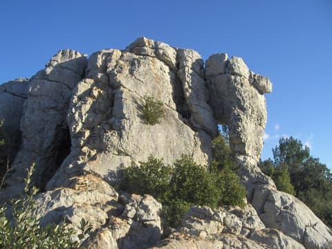 Rouca Traouca
