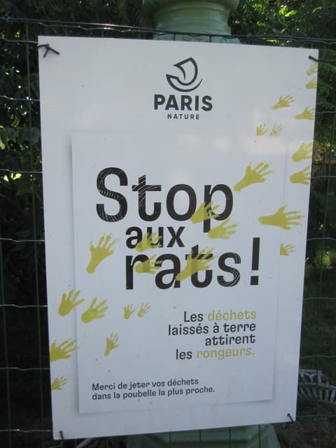 Aven aux Rats