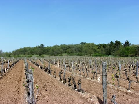 Colline des Puys