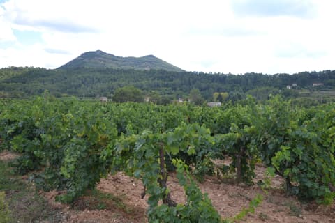 Petit Bessillon