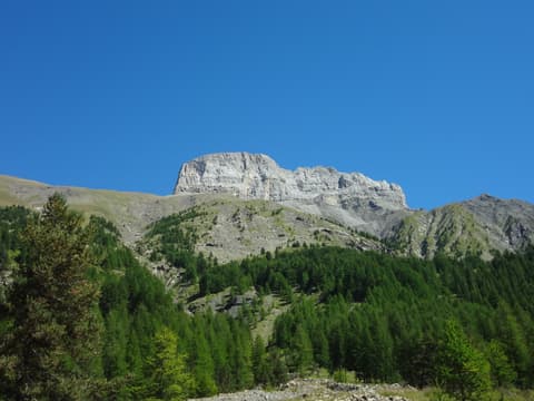 Château Renard