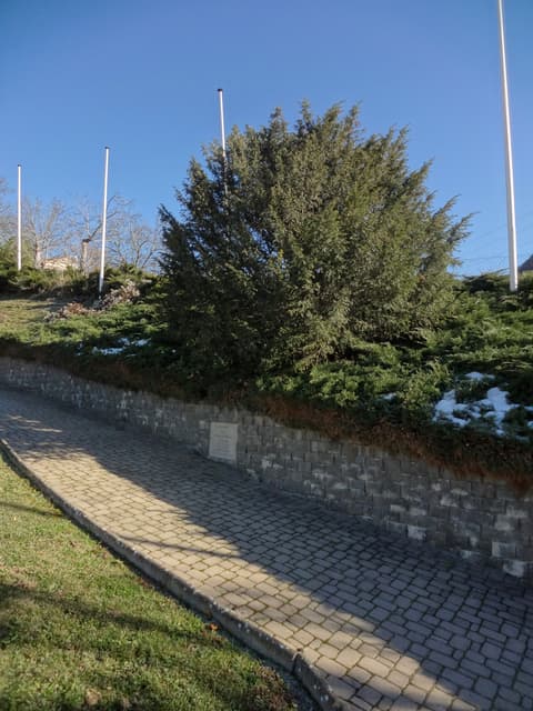 Tournoux
