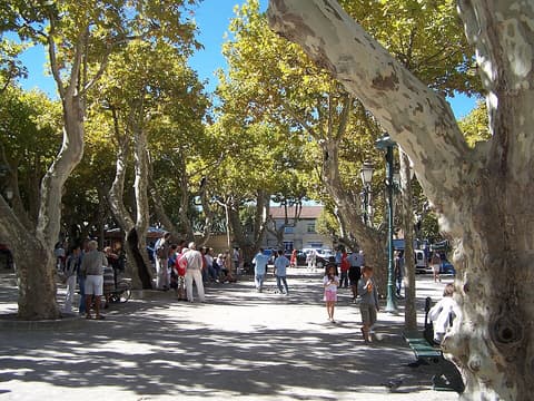 Parc des lices