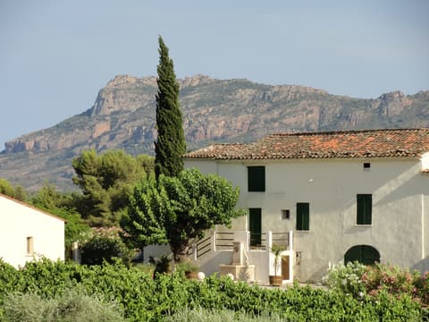 Domaine de Canta Rainette