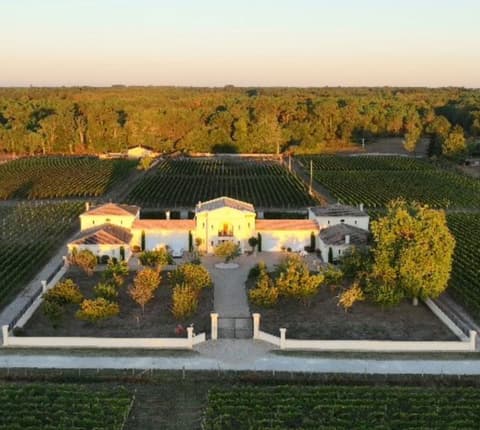 Château de Saint Laurent Vignoble