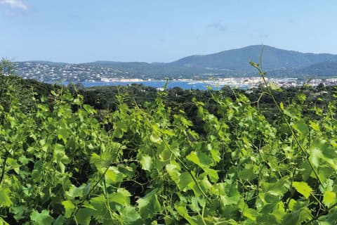 Clos des B
