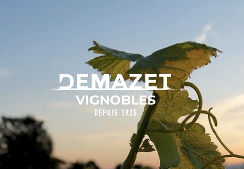 Demazet Vignobles La Cave