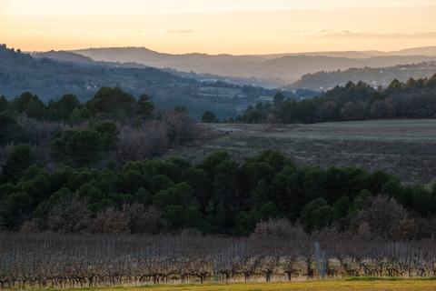 Domaine ALLOÏS