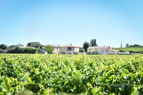 Domaine de Ferrand Bravay