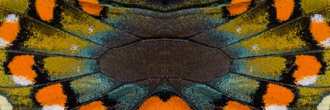 The Castle Escarelle