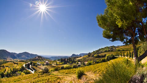 Domaine La ferme saint Martin