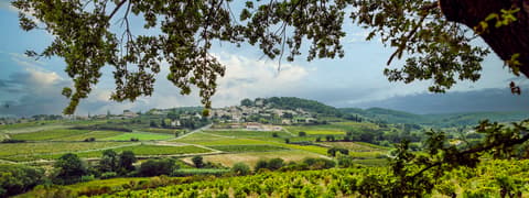 Domaine des Girasols SCEA