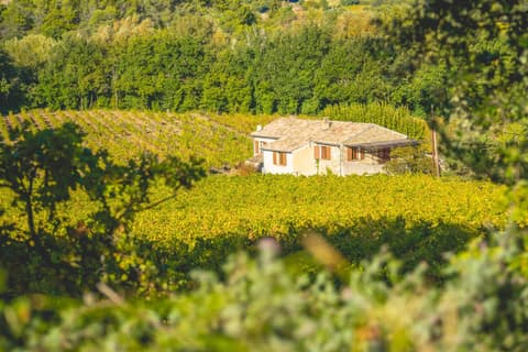 Domaine Le Puy du Maupas